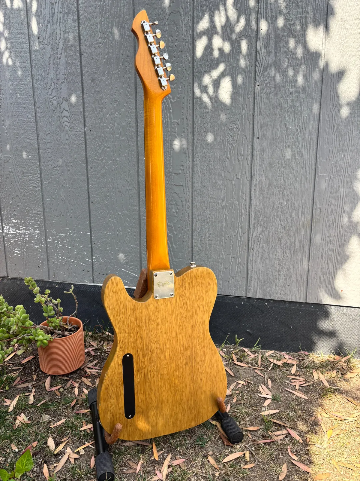 Back view of completed Plume showing korina body, neck, tuners, and rear cavity cover.