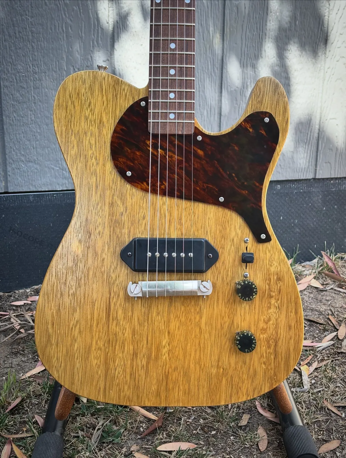 Plume body detail showing korina grain, tort guard, dogear P-90, wraparound bridge, and controls.