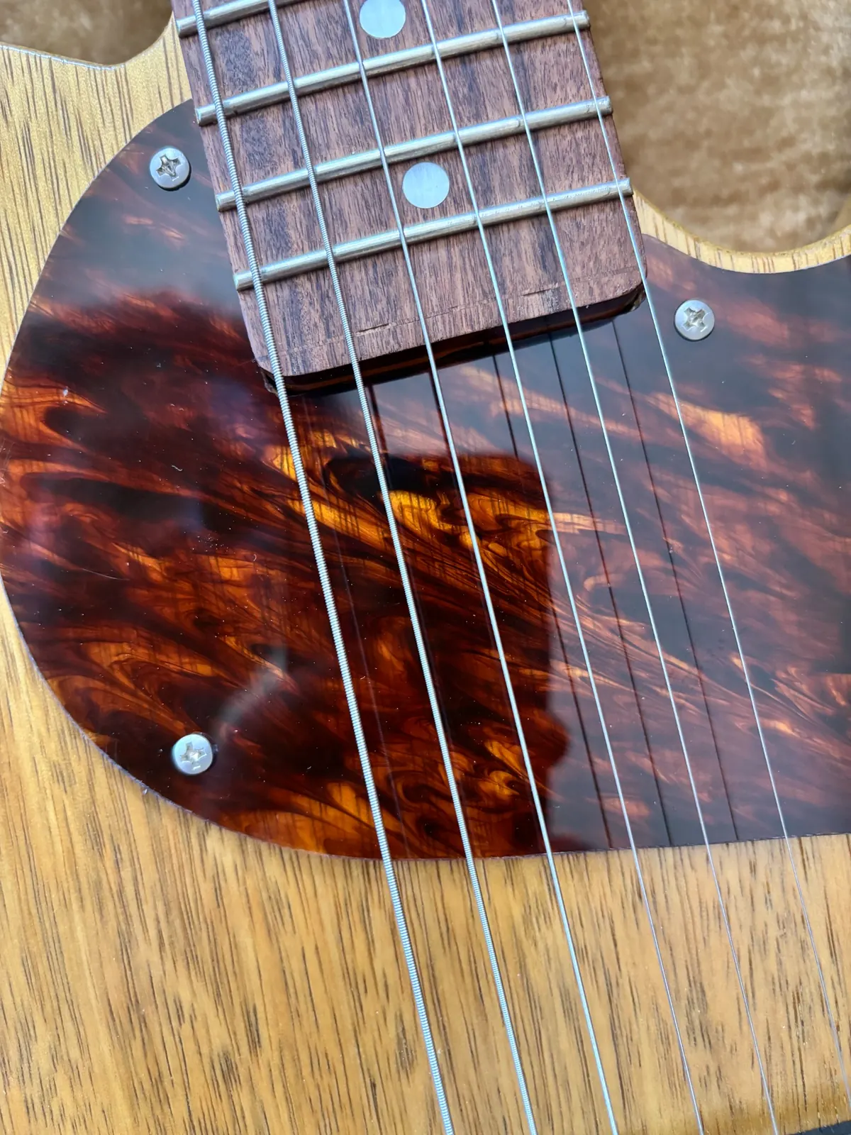 Close detail of Plume tort guard, fretboard end, and strings.