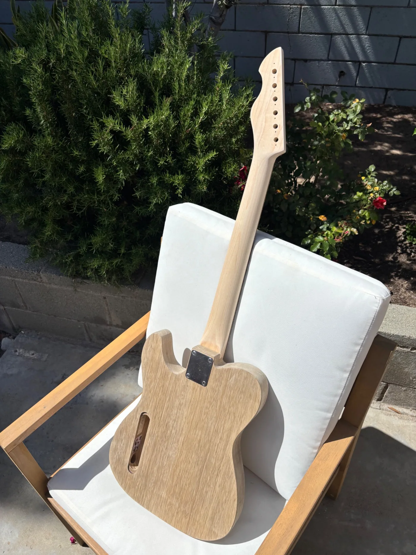 Back view of Plume showing neck construction, body grain, and neck plate.